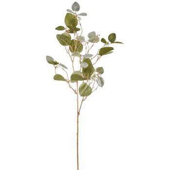 Eukalyptuszweig grün H76cm